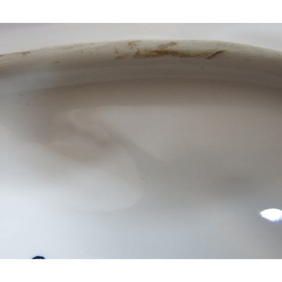 Vintage Carraro Made in Italy Celery Trinket Dish Dragonfly Oblong Yellow Green - Picture 9 of 12